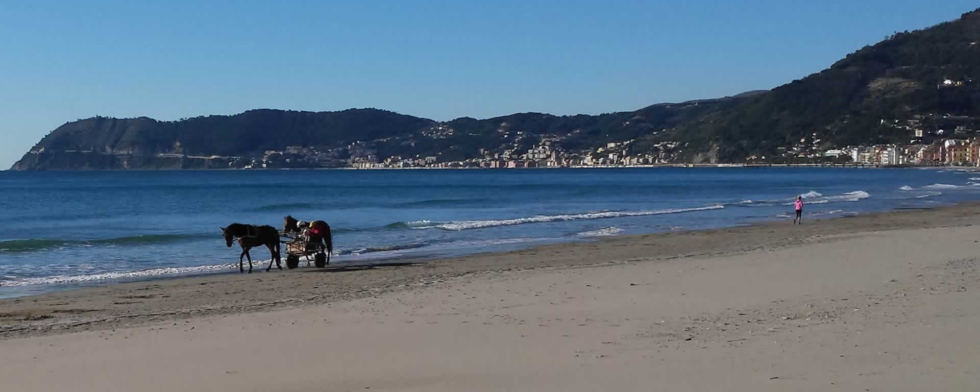 Benvenuti nel Sito del Hotel Lydia Alassio