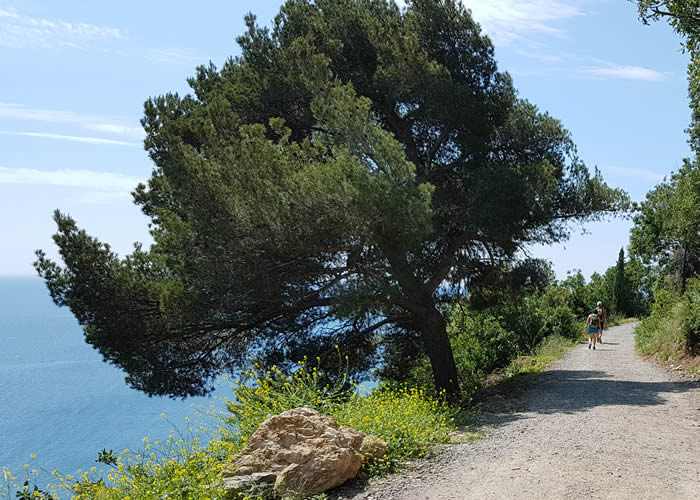 La movida di Alassio